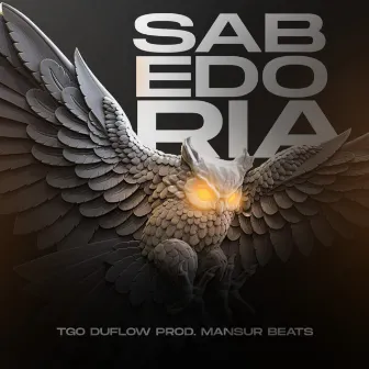 Sabedoria by Tgo Duflow