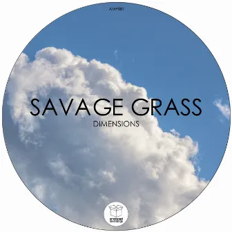 Dimensions by Savage Grass