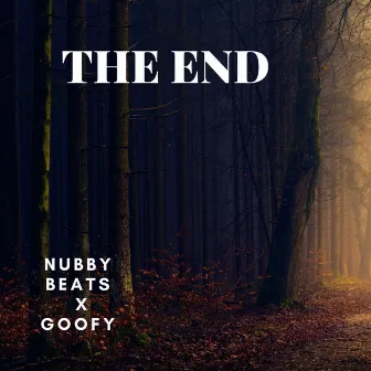 The End by Nubby Beats