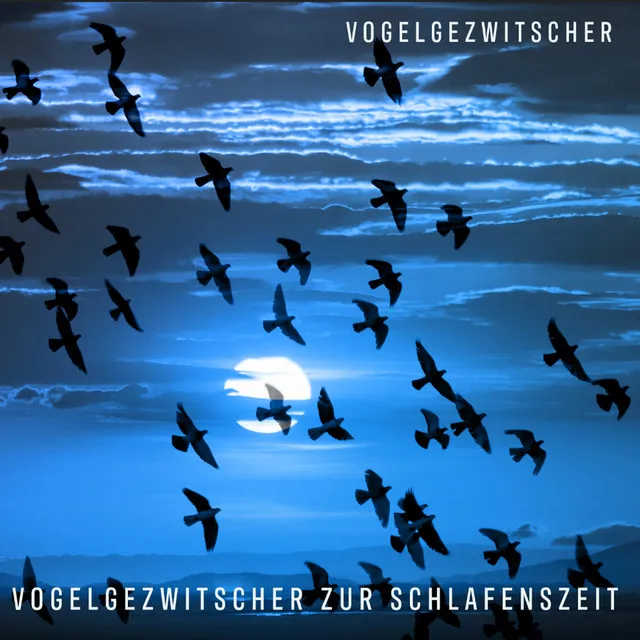 Vogelgezwitscher zur Schlafenszeit