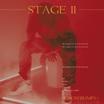 STAGE II by GooseBumps