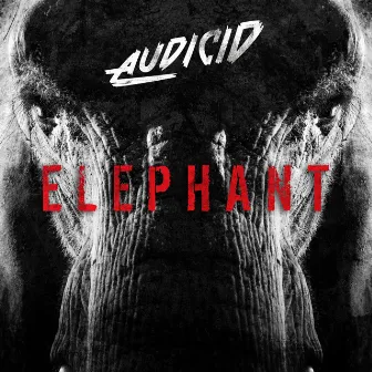 Elephant by Audicid