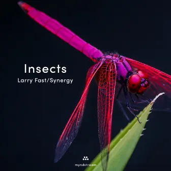 Insects by Larry Fast