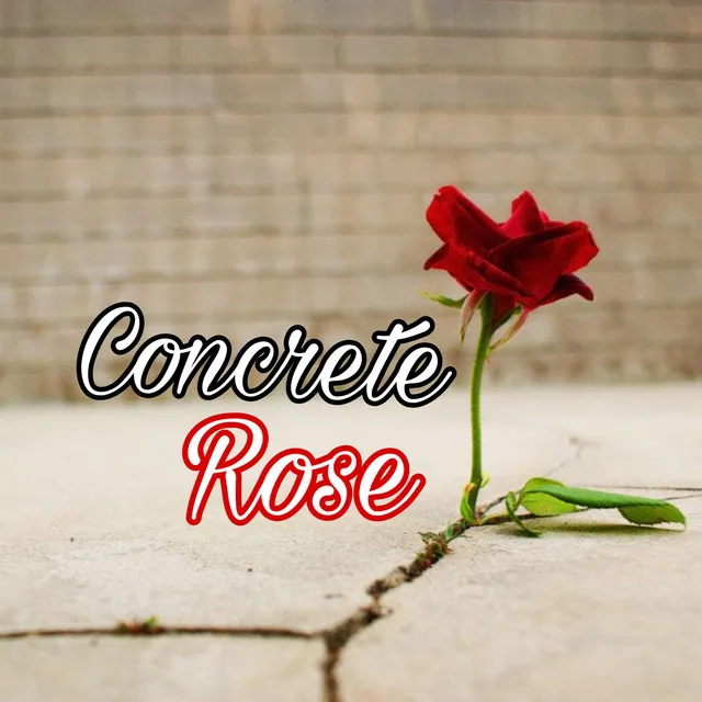 Concrete Rose