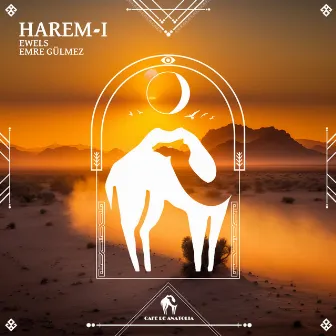 Harem-I by Emre Gulmez