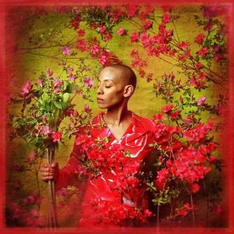 I Used to Be... by Gail Ann Dorsey