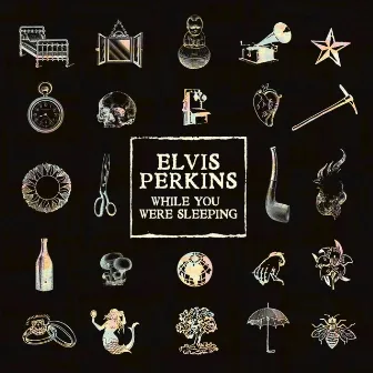 While You Were Sleeping by Elvis Perkins