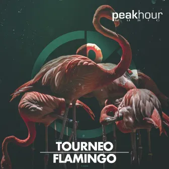 Flamingo by Tourneo