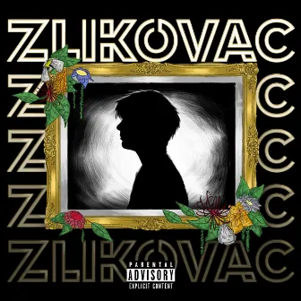 zlikovac by merkat