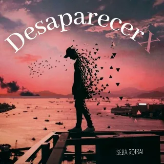 Desaparecerx by Seba Roibal