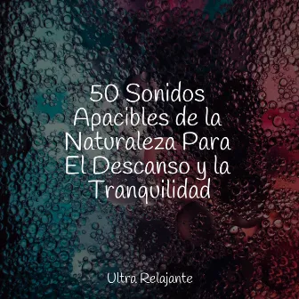 50 Sonidos Apacibles de la Naturaleza Para El Descanso y la Tranquilidad by Unknown Artist