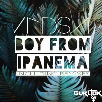 Boy From Ipanema by INDSA