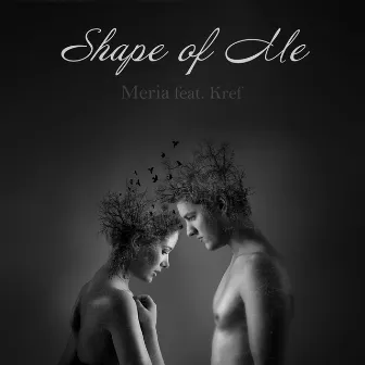 Shape of Me by Meria