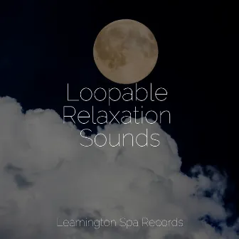 Loopable Relaxation Sounds by Naturaleza Sonidos