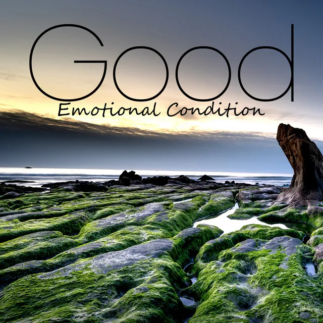 Good Emotional Condition: Feel Soothed, Relieved from the Stresses of the Day