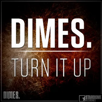 Turn It Up by DIMES