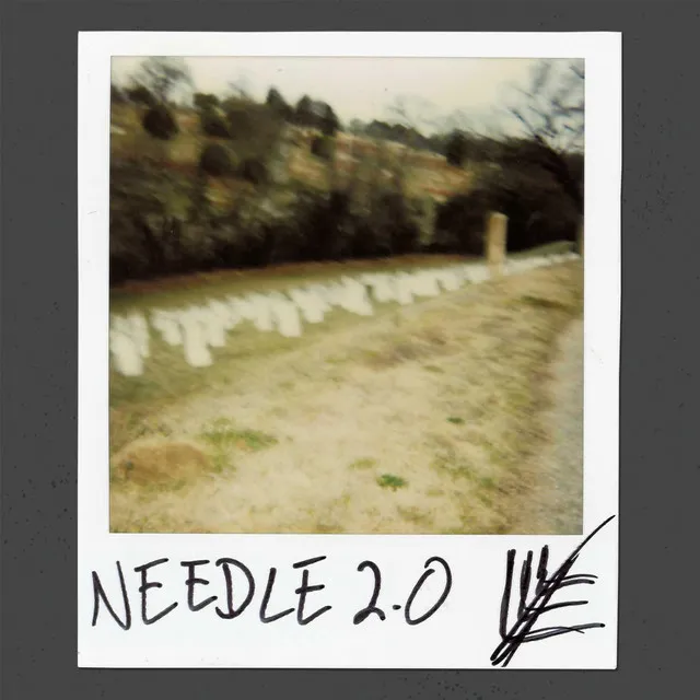 Needle 2.0