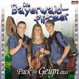 Pack die Geig'n aus by Die Bayerwaldflitzer