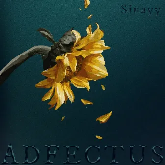 ADFECTUS by Sinayy