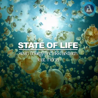 State Of Life by Rikki Arkitech