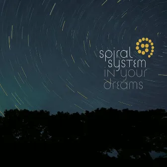 In Your Dreams by Spiral System