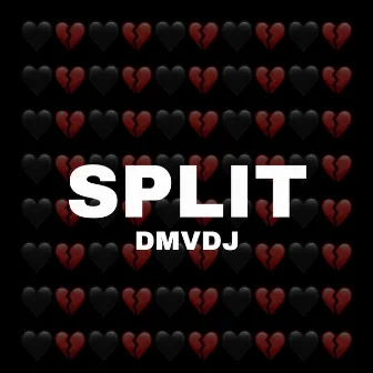 Split by Dmvdj