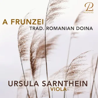 A Frunzei (Traditional Romanian Doina) by Ursula Sarnthein