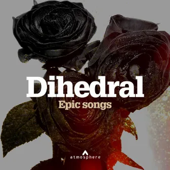 Dihedral by Louise Dowd