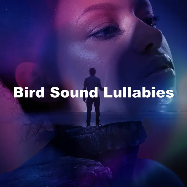 Bird Sound Lullabies