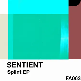 Splint EP by Sentient