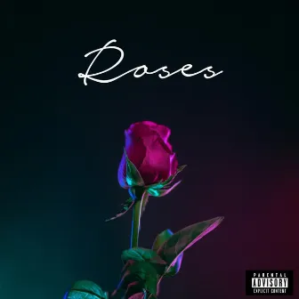 Roses by Treal