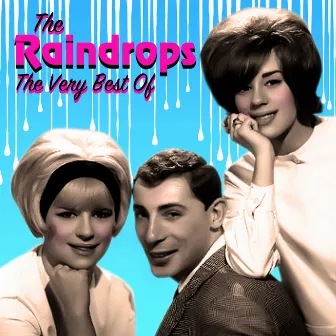 The Very Best Of by The Raindrops