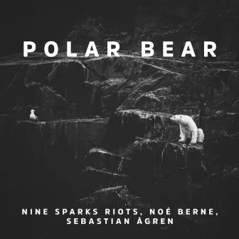 Polar Bear by Sebastian Ågren