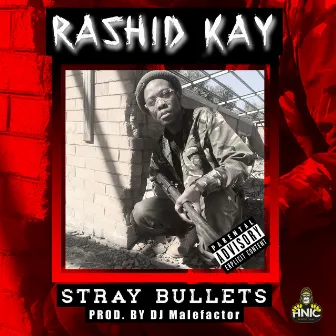 Stray Bullets by Rashid Kay