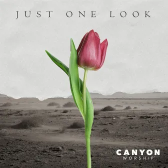 Just One Look by Canyon Worship