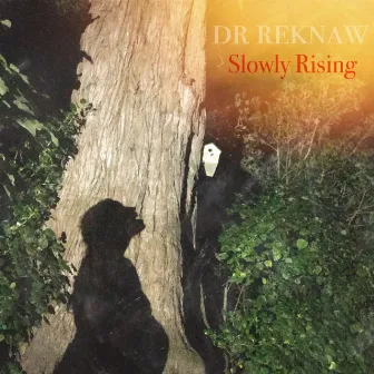 Slowly Rising by Dr. Reknaw