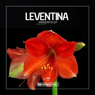 Magenta EP by Leventina