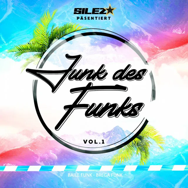 Junk des Funks vol.1