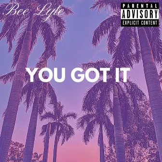 You Got It by Bee Lyte