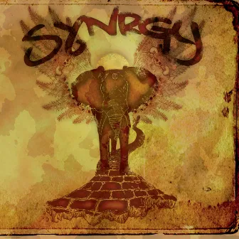 Synrgy by Synrgy