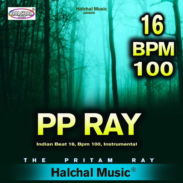 PP RAY Indian Beat 16, BPM 100, Instrumental