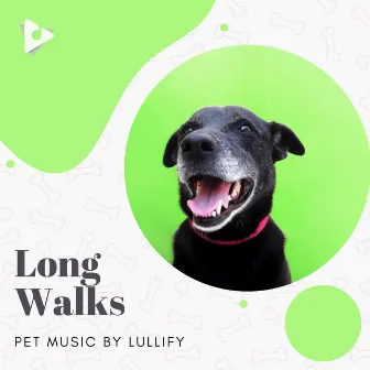 Long Walks by Pet Music by Lullify