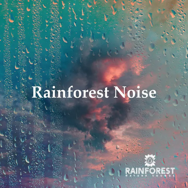 Rainforest Noise