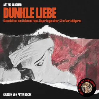 Dunkle Liebe (Geschichten von Liebe und Hass. Reportagen einer Strafverteidigerin.) by Astrid Wagner