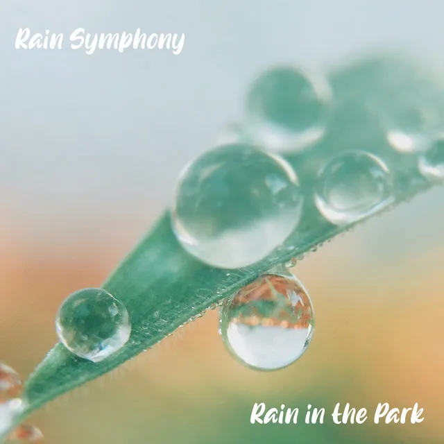 Rain Symphony