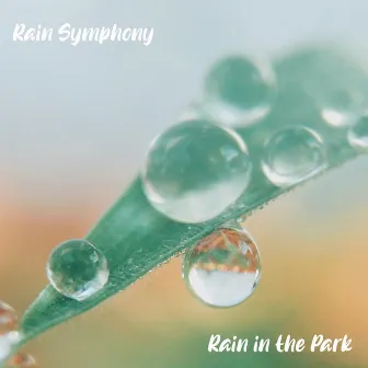 Rain in the Park by Rain Symphony