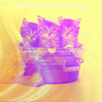 Easy Listening Guitar - Background Music for Relaxing Cats by Calm Relaxing Music for Cats