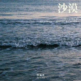 沙漠 (Shuzhen's Oasis Rework) by D & the Compass