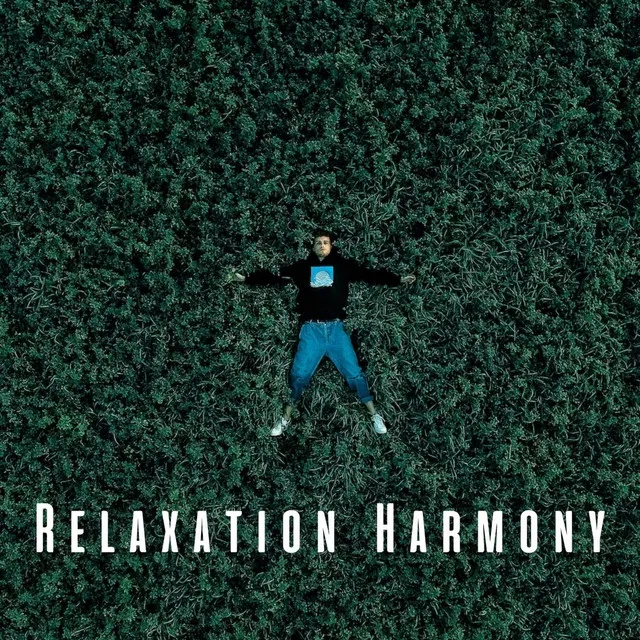 Relaxation Harmony: Chill Music for Peaceful Moments