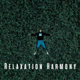 Relaxation Harmony: Chill Music for Peaceful Moments by Romantic Sex Music